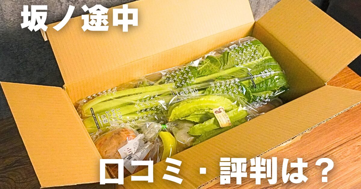 【徹底調査】坂ノ途中の口コミ・評判！実際に利用した結果は？